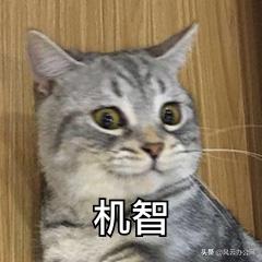 kux格式怎么转换为mp4格式,kux格式怎么免费转换成mp4