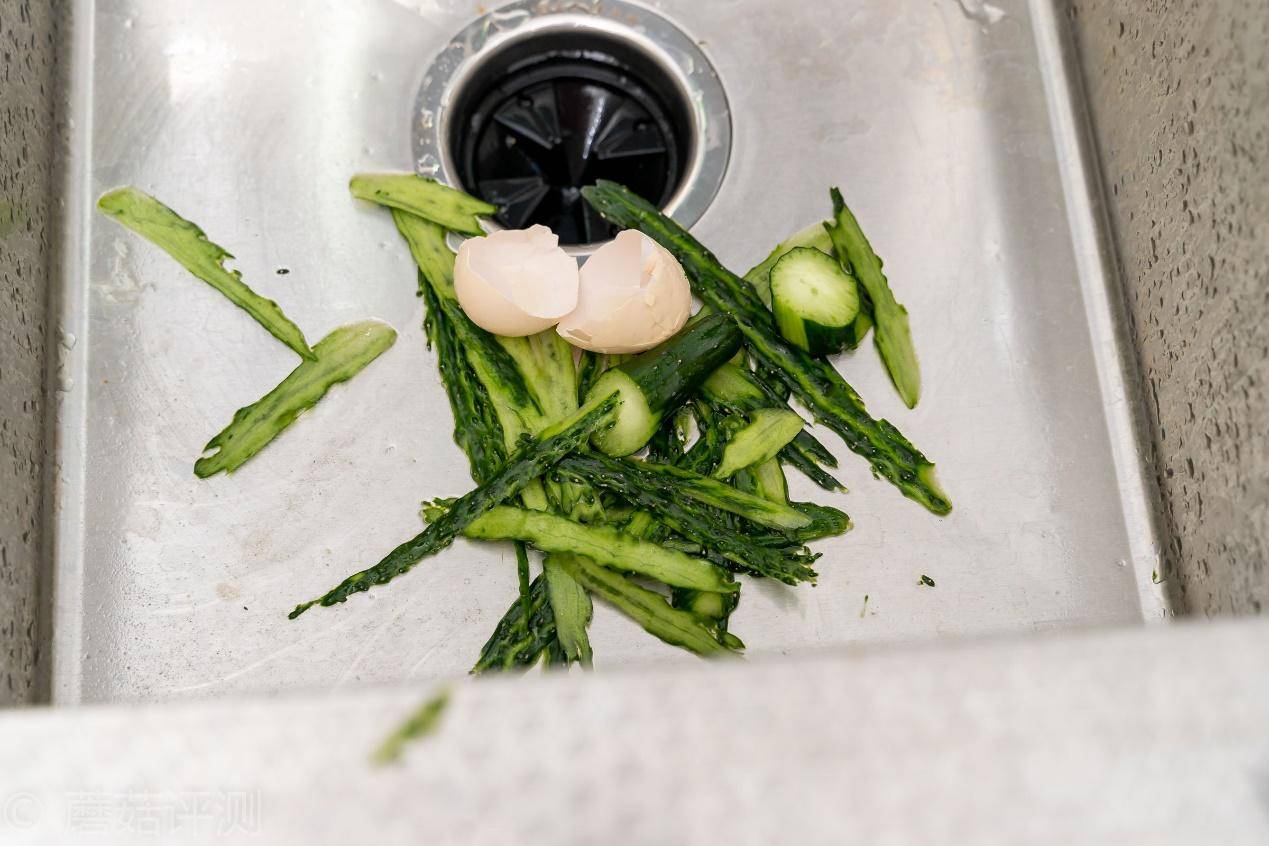 厨余垃圾处理器有用吗,中国家庭适合厨余垃圾处理器吗