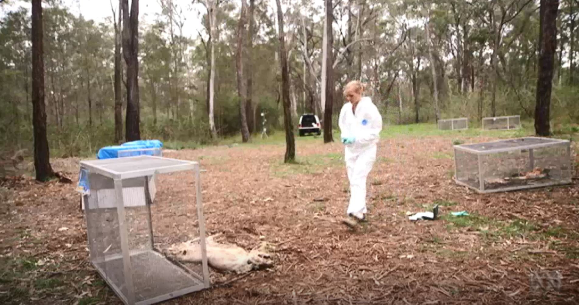 尸体移动实验,尸体死后为何还会动