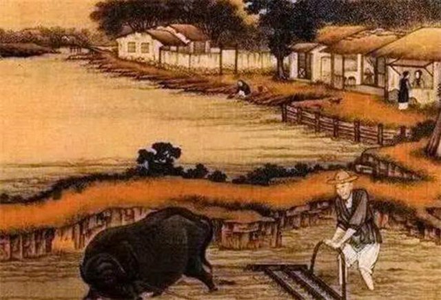 农夫报案牛舌头被偷,农夫报案包公杀牛