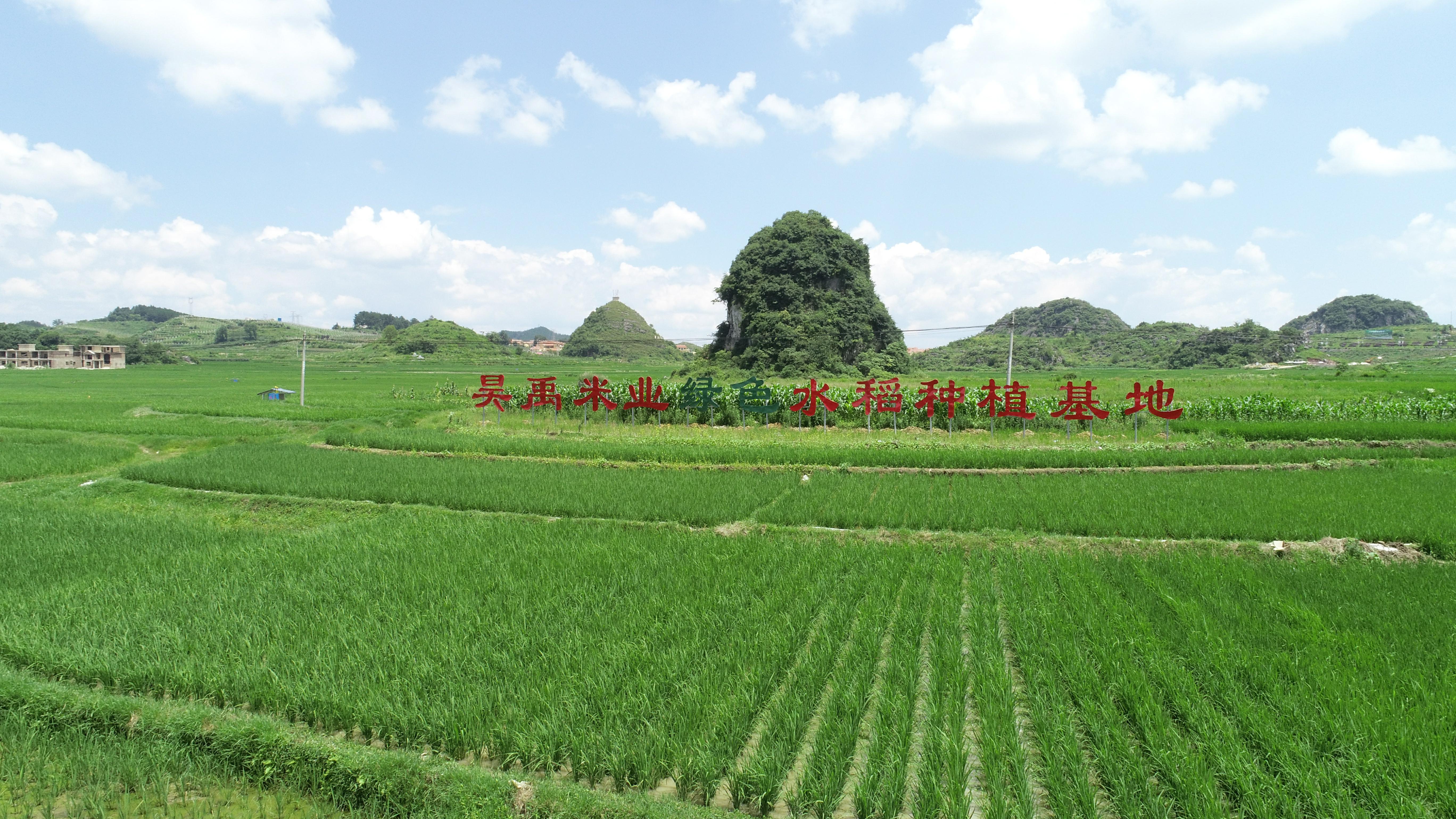 电商助推平坝优质米产业发展