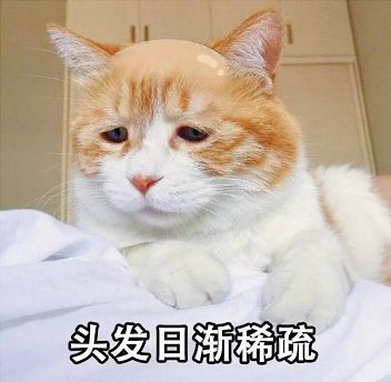 小鱼读书笔记,中资美元债为什么风险低收益高