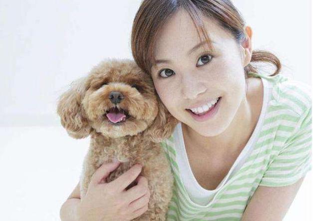 一些常见的宠物狗价格是多少,10种常见的宠物狗价格