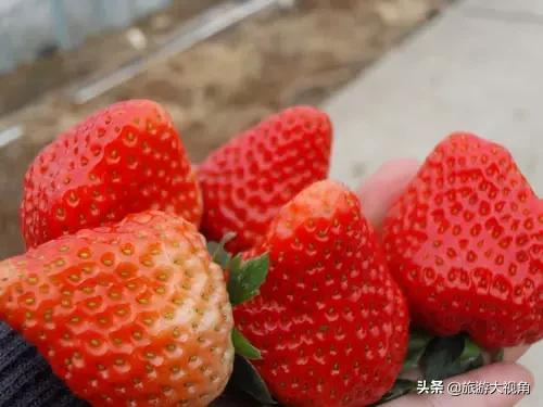 南京十大特色村庄,南京最美的十大村庄