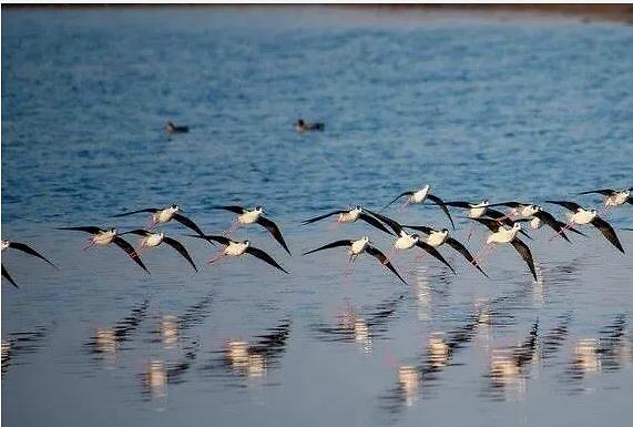 泓济环保污水处理设备,泓济环保处理方案