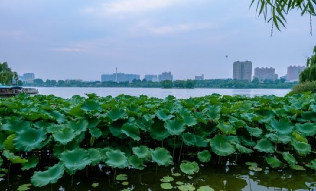 济南趵突泉景区景点介绍,济南西部景区有哪些景点