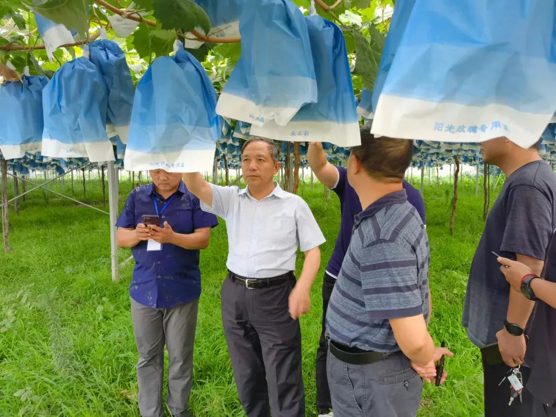 閮戝ぇ浜戝垱鍐滀笟缁忕悊浜哄煿璁彮,閮戝窞澶у鍐滀笟缁忕悊浜哄煿璁彮