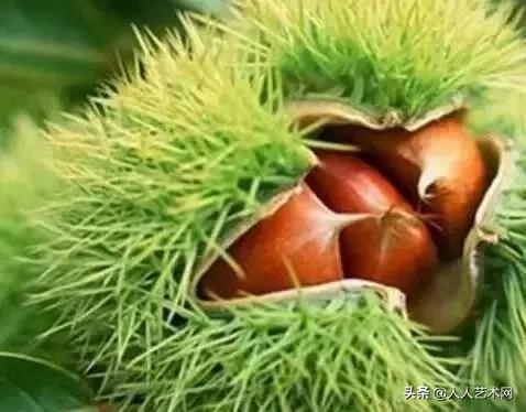 诸城简介,诸城是什么样的图片