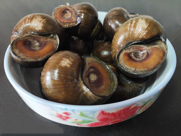 清蒸田螺做法大全家常,吃超大清蒸的田螺