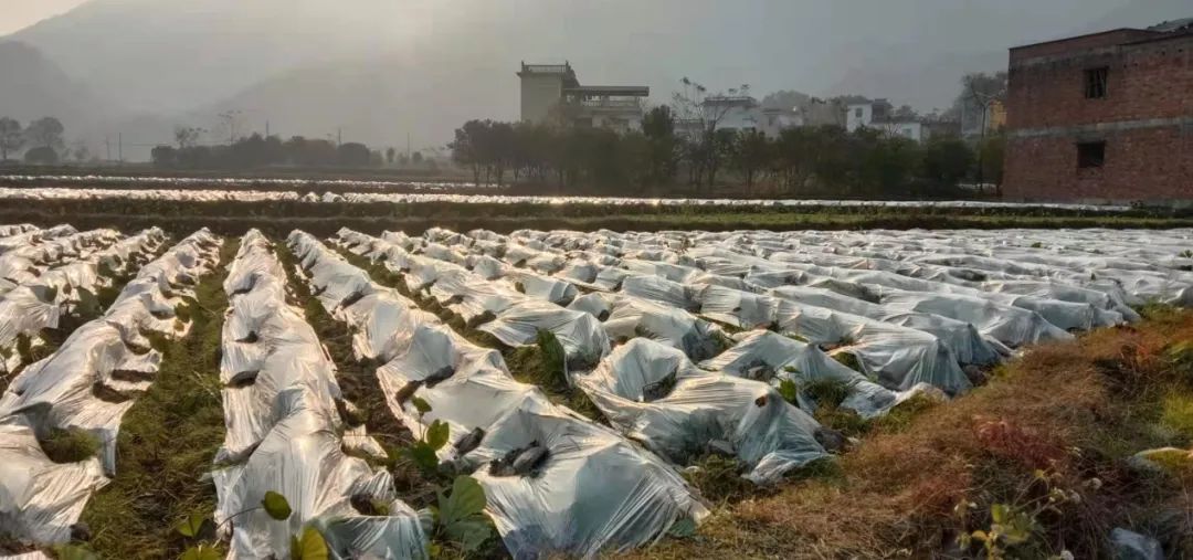 桂北传统村落,桂北古村在哪里