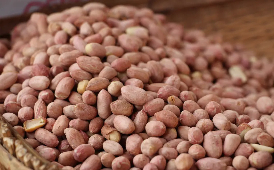 老味果仁做法,高级果仁咋做好吃