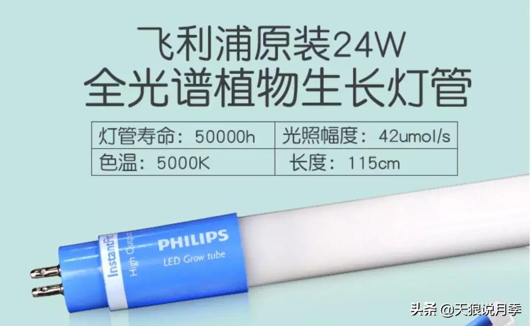 北阳台无直射光,北阳台直射光