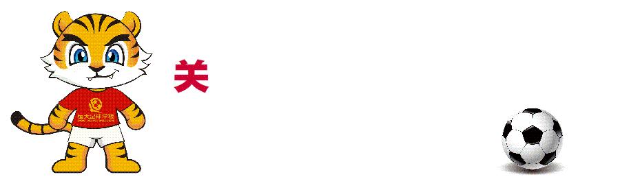 恒大足球学校u10,恒大足球学校u12比赛