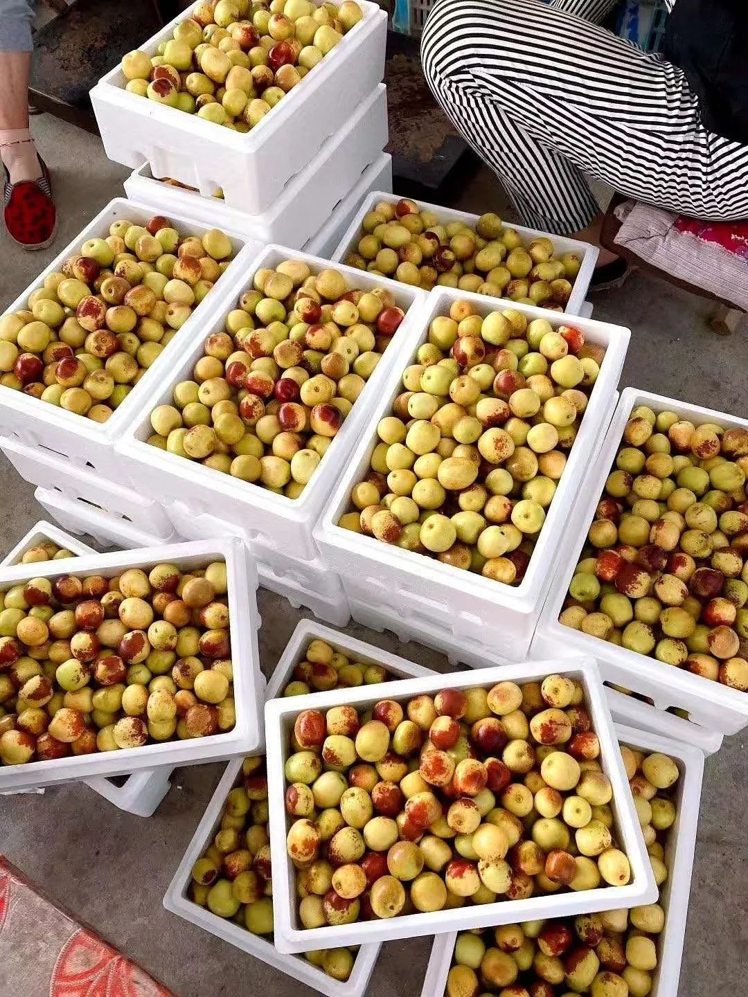 快递小哥建社区微信群，日卖2万枚土鸡蛋