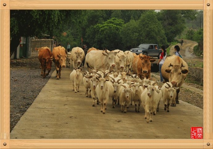 本溪南芬大峡谷游玩攻略,本溪南芬大峡谷一日游价格表