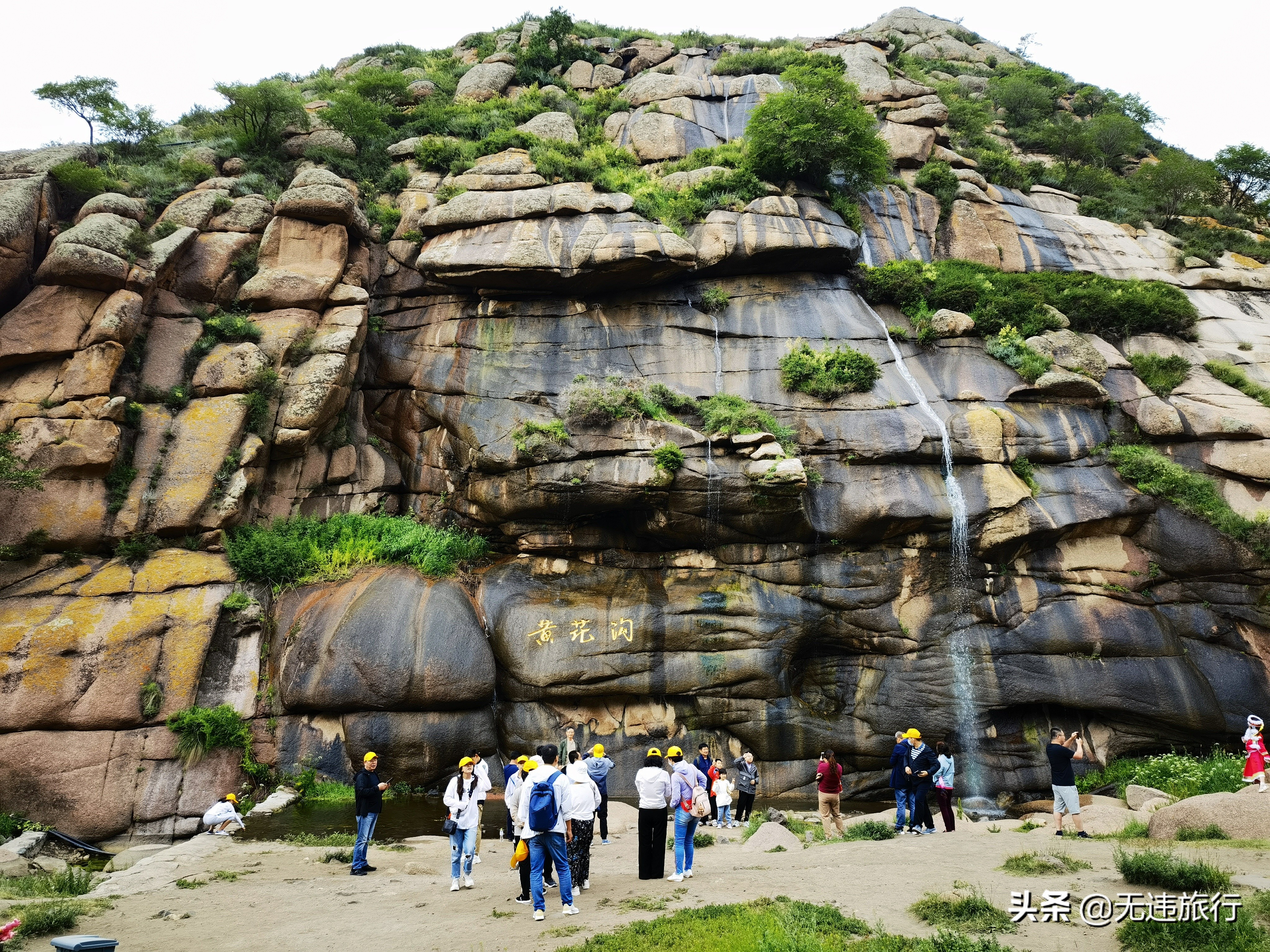 辉腾锡勒草原黄花沟游玩时长,辉腾锡勒草原黄花沟见闻