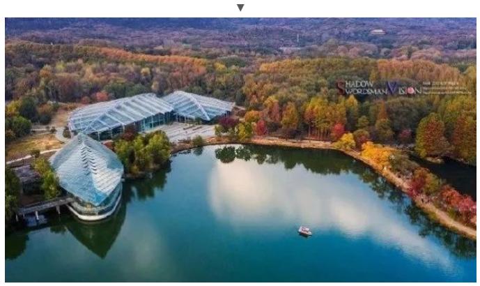 南京绝美的打卡圣地,南京文艺之旅十大必去之地