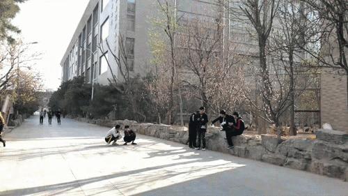 山东蓝翔学挖掘机视频,蓝翔学开挖掘机