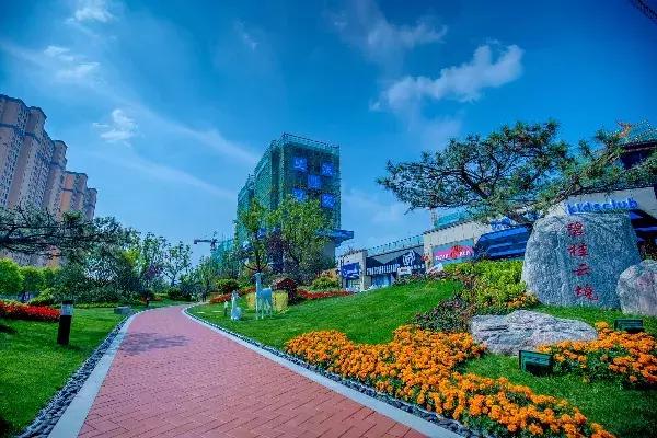 送给妈妈母亲节的礼物简单又漂亮,母亲节给丈母娘礼物