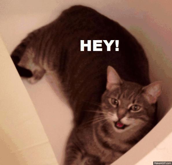 难用网红产品测评,难用的网红爆款