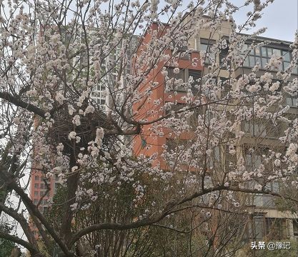 把故事讲给别人听,把故事讲给后来的人听