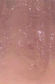 刘亦菲走红毯穿的礼服 (刘亦菲结婚了吗2017)