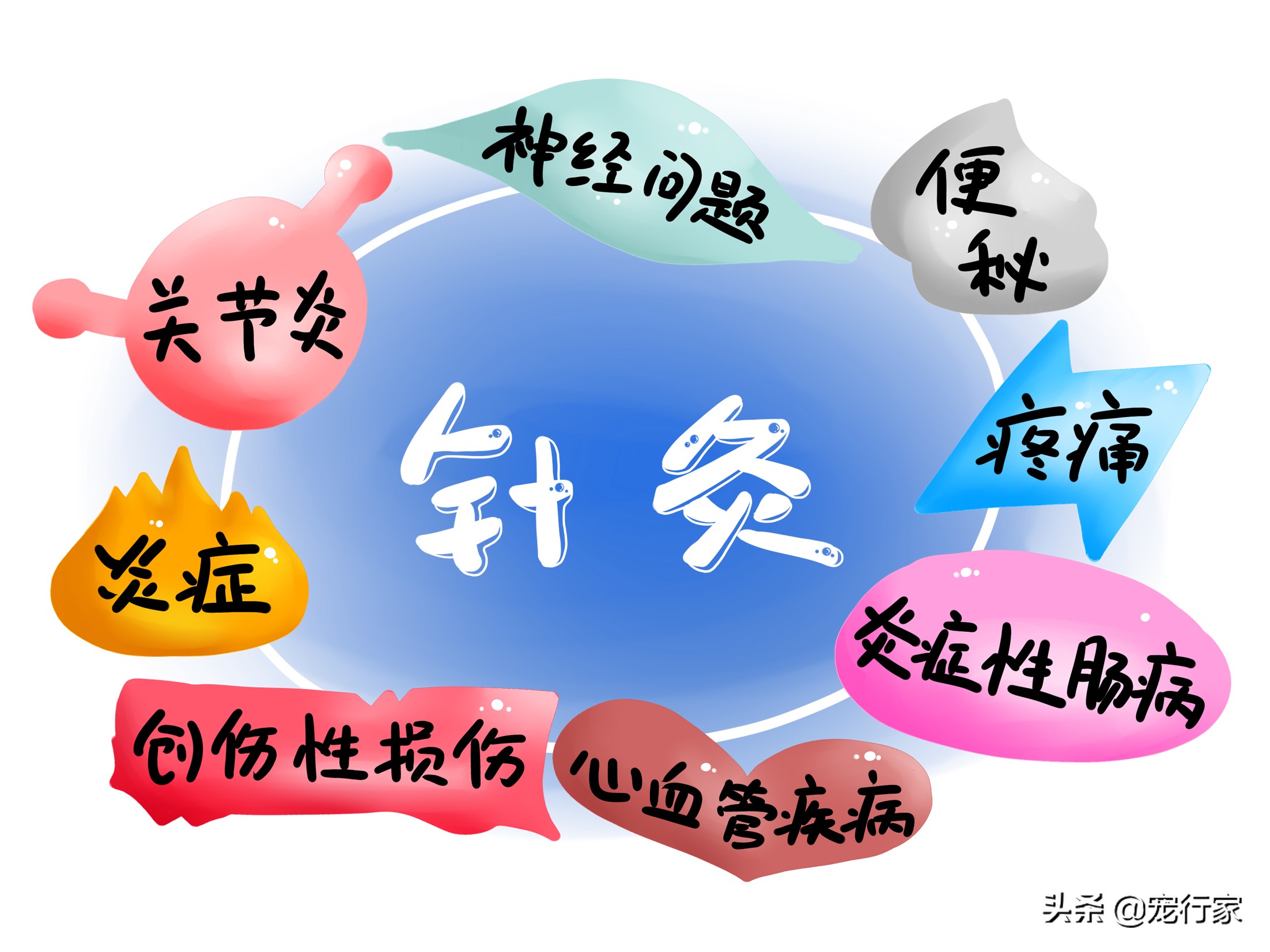 猫咪进行针灸治疗真的有效果吗,猫针灸一次多久