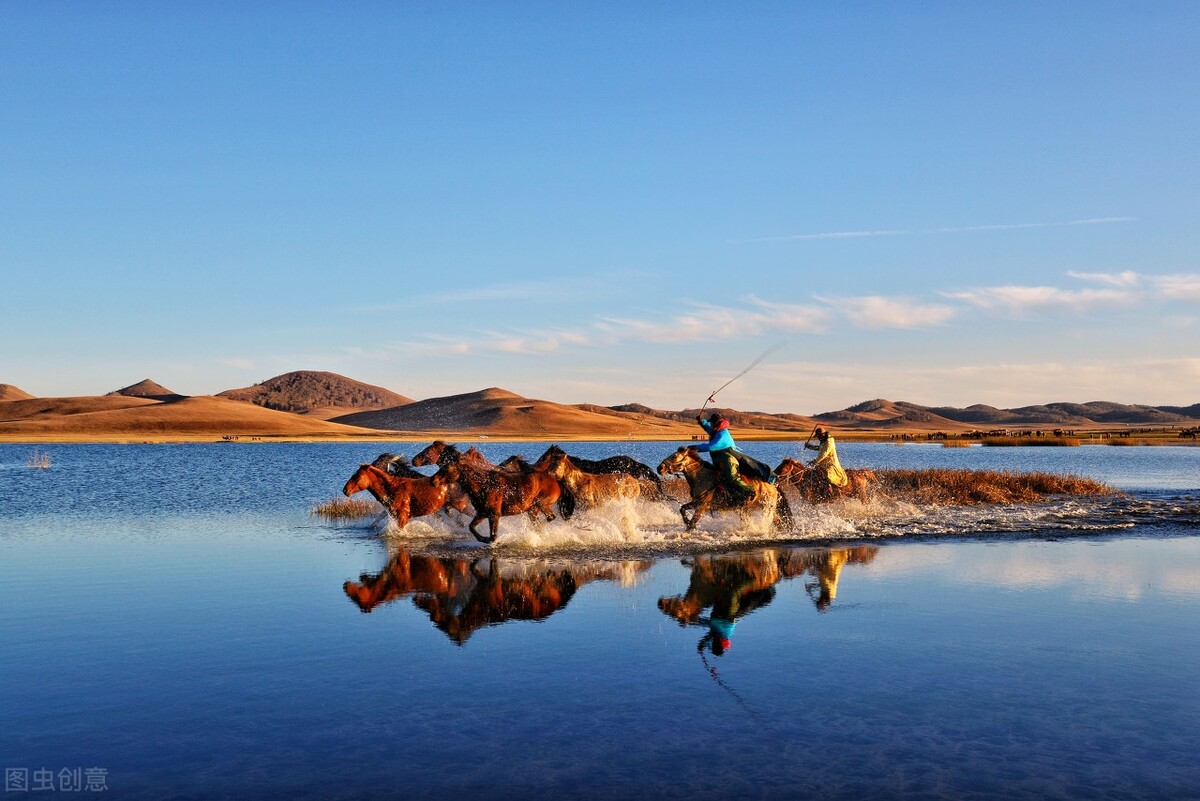 半导体显示技术龙头,led显示行业龙头