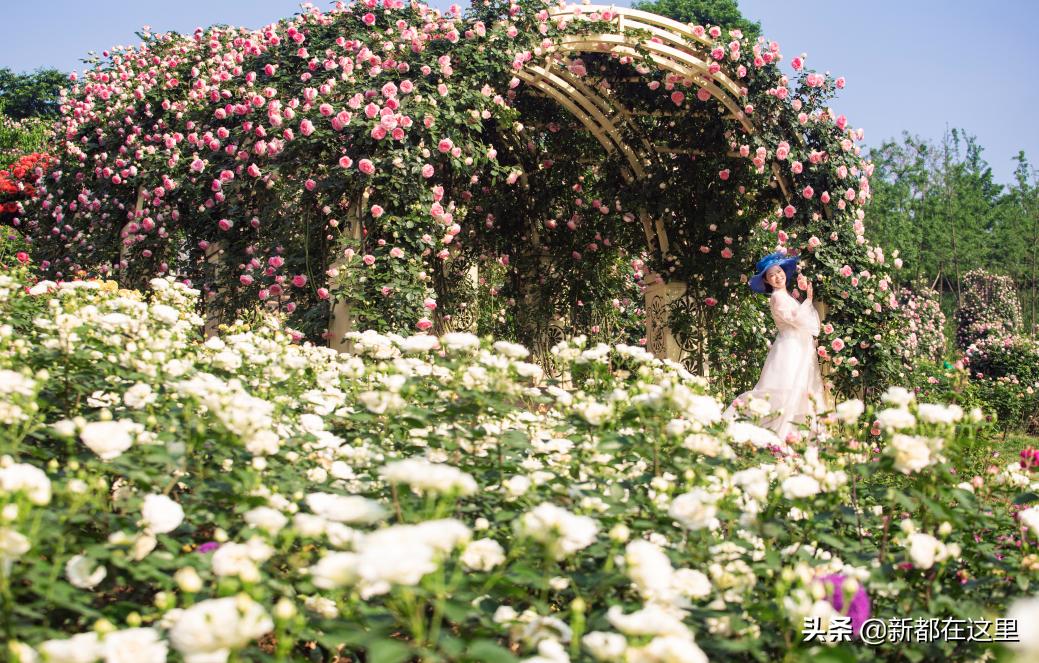 这才是9月最值得去的地方,4月最值得去的地方