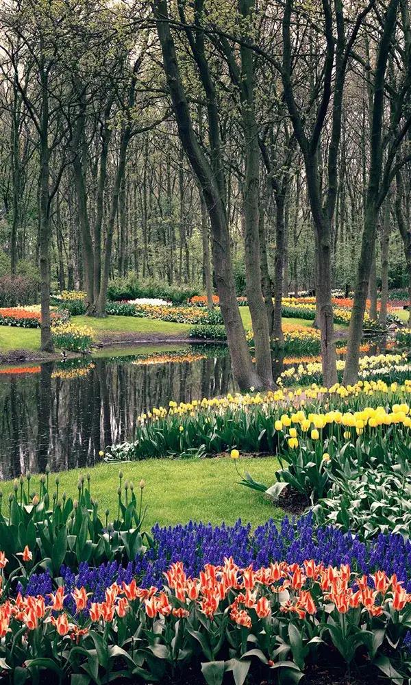 泥土的清香年轻照片,泥土的成分