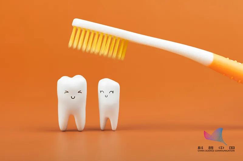 教你几招从此和口臭说拜拜,为什么口臭自己闻不到教你一招