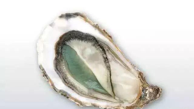 哪种海鲜的味道最鲜美,世界上最鲜美的海鲜