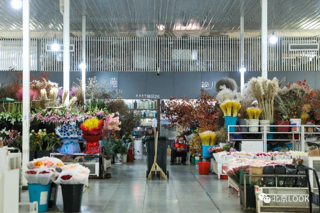北京最大花市在哪,北京比较知名的花市有哪些