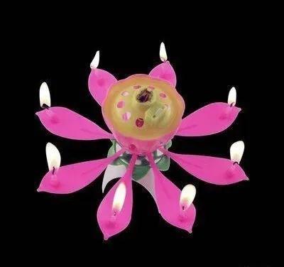 恒大莲花足球场最新消息,广州恒大莲花足球场效果图