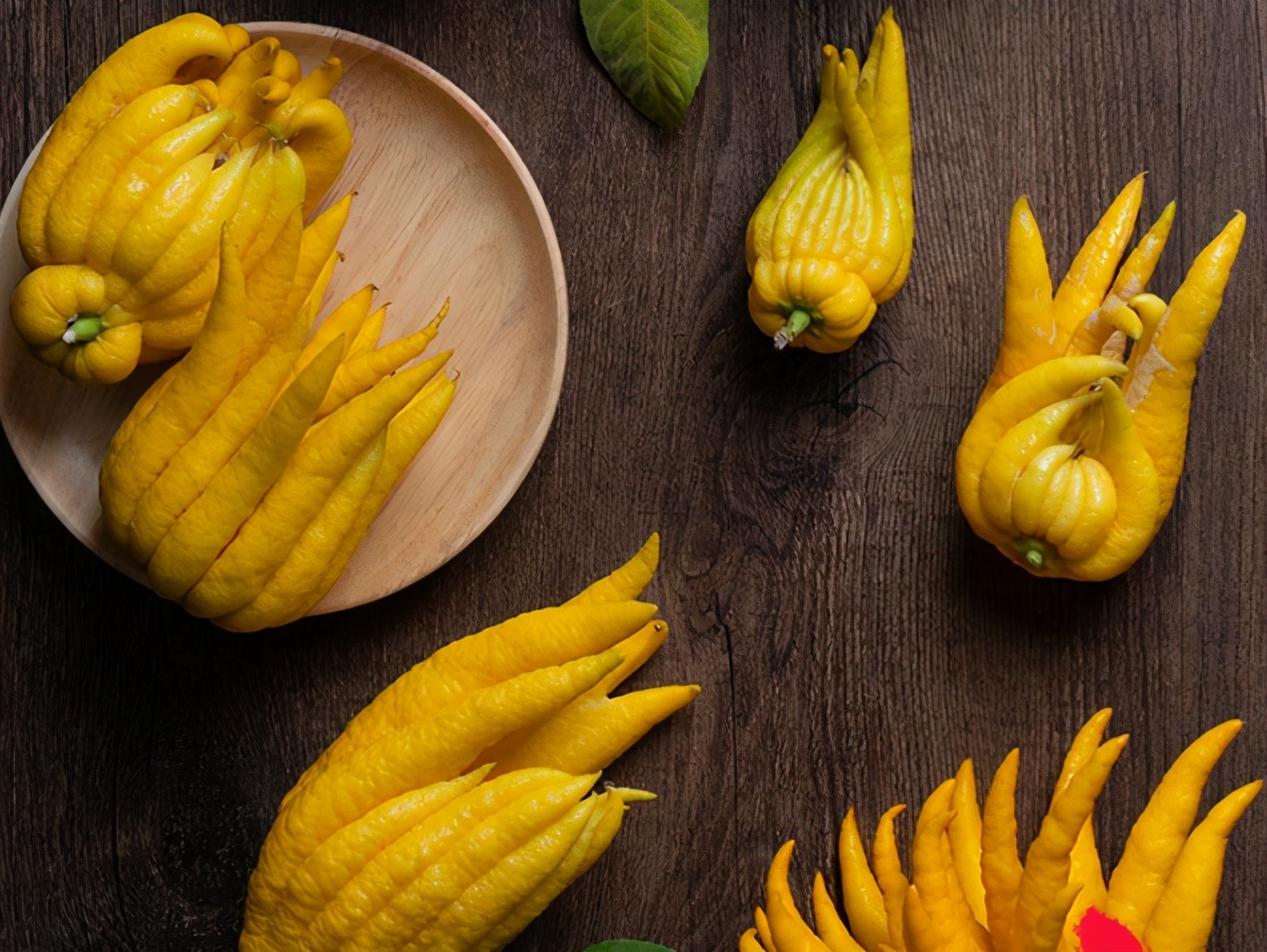 过年了,准备点金佛手,喜庆而且用处多,能泡茶做果干还能泡酒