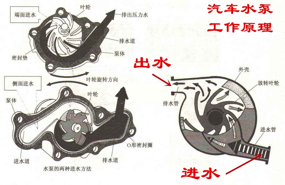为什么汽车水泵叶片会烂掉,怎么判断汽车水泵叶片坏了