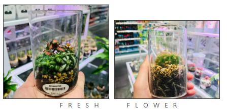 kkv网红打卡地集装箱生活馆,kkv打卡店在哪里