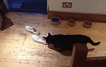 解决夏季“脚臭”尴尬！黑科技鞋袜杀菌除味喷雾，让你脱鞋不尴尬