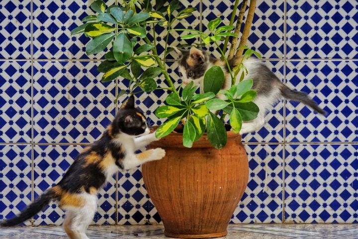 五一冷门小众旅游目的地,十大必去小众深度目的地