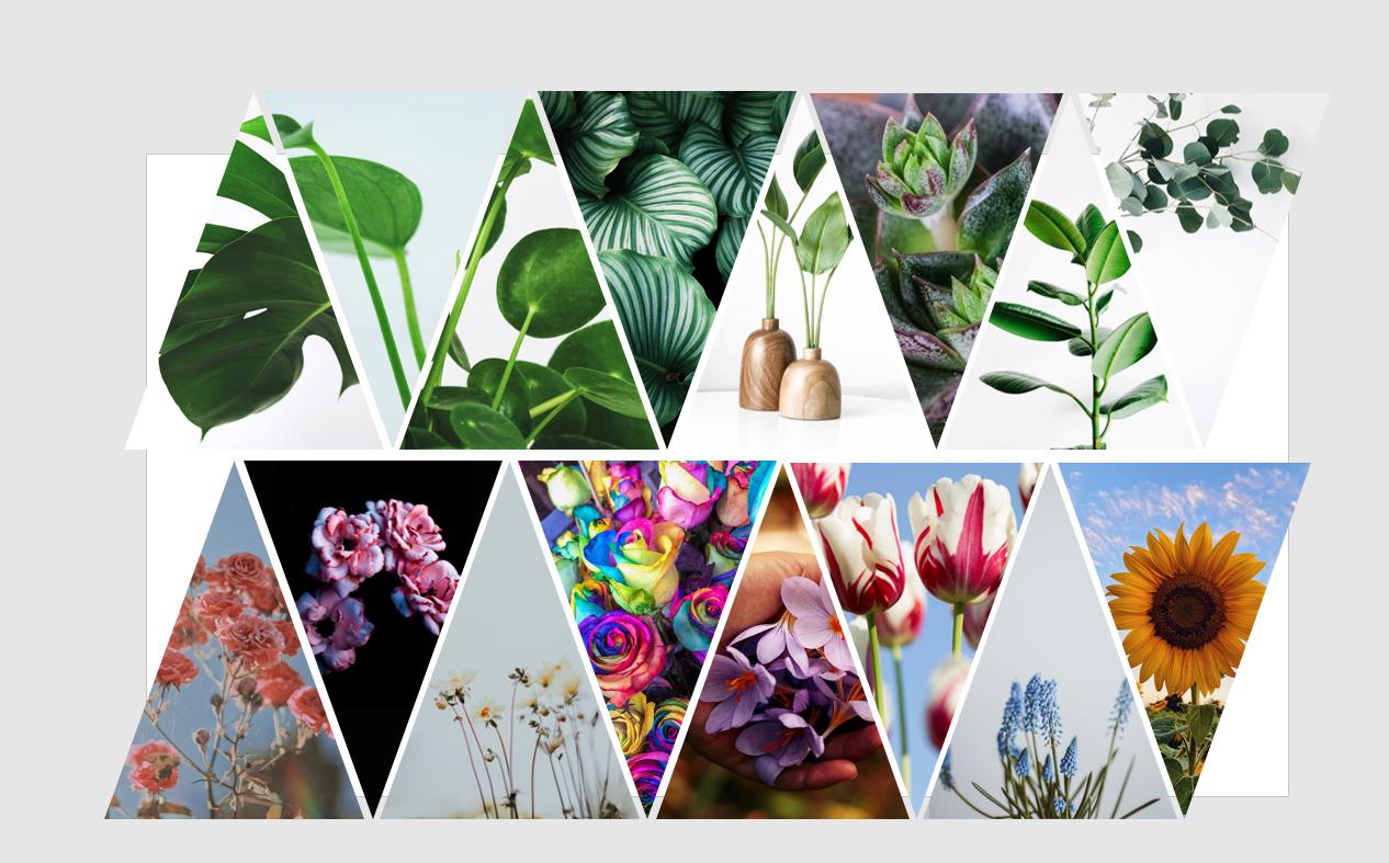 国外ppt大神教程,大神教你高逼格ppt