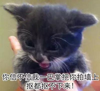 养了三年的猫突然想攻击我,养了两年的猫对我特别防备