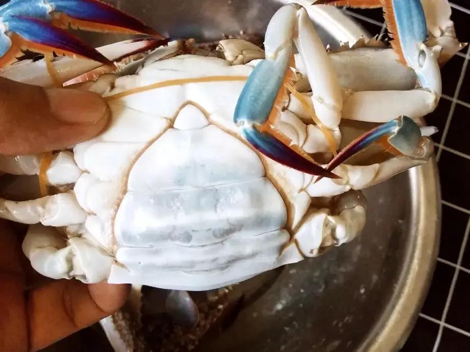 中秋节送礼指南让你送礼不再难,中秋节送礼一般送什么实惠的