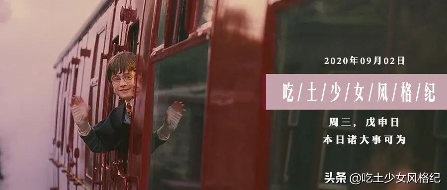 哈利波特四十岁生日的样子,哈利波特十九年后