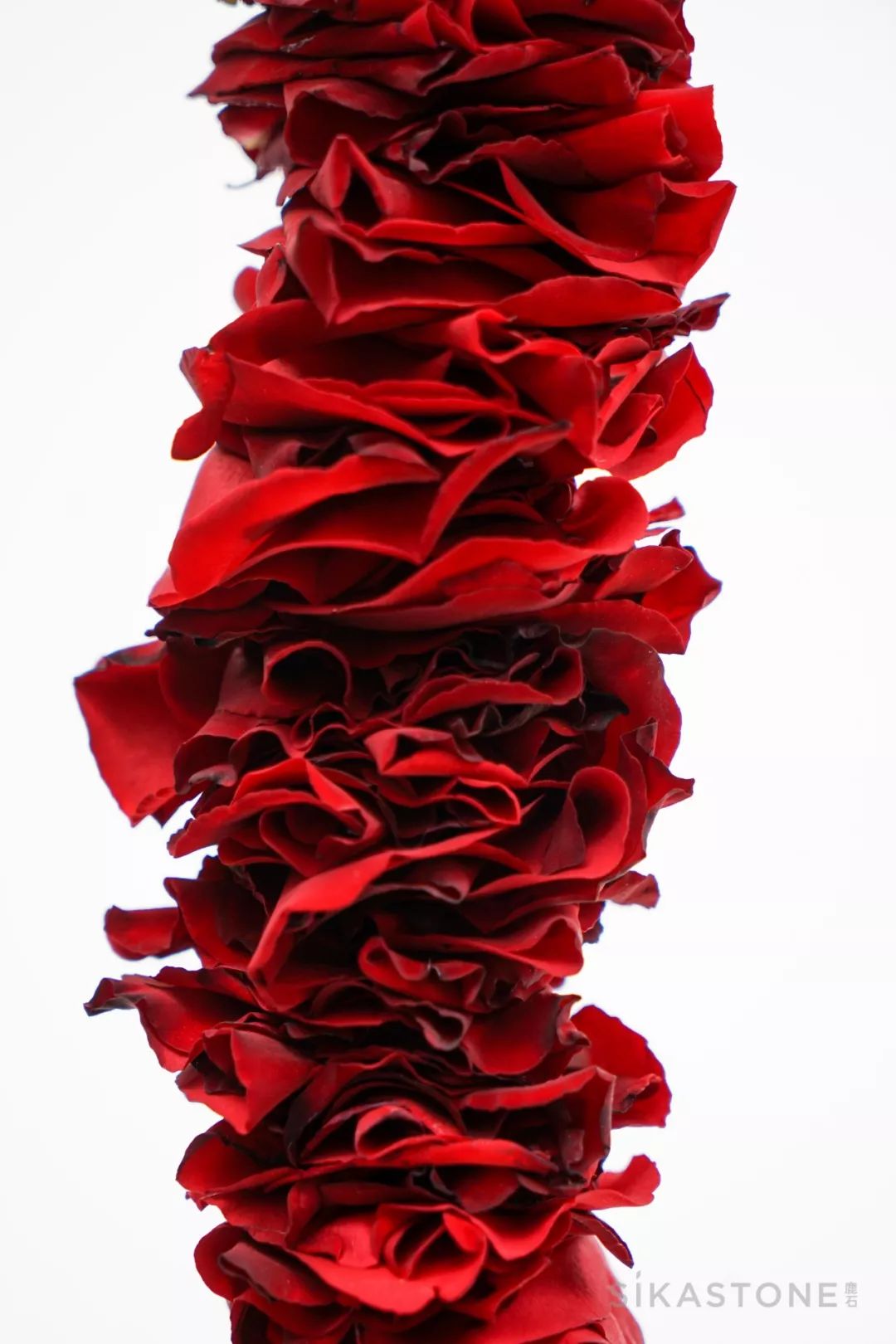 了不起的发明主题目标,了不起的发明主题环创