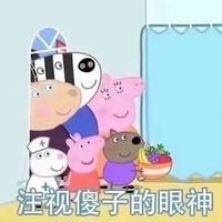 小猪佩奇嘲讽表情包,小猪佩奇骂人的表情包