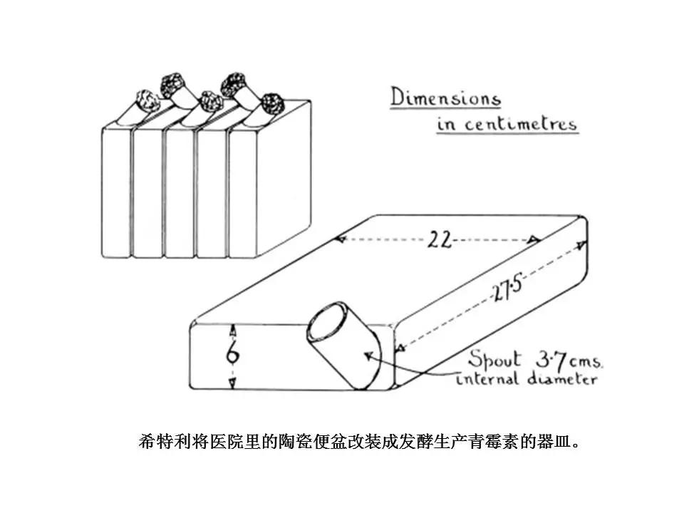 青霉素的发现过程给我们的启迪,青霉素是如何诞生的