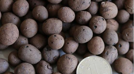 多肉璀璨小苗配土介质,养多肉需要哪些常备药