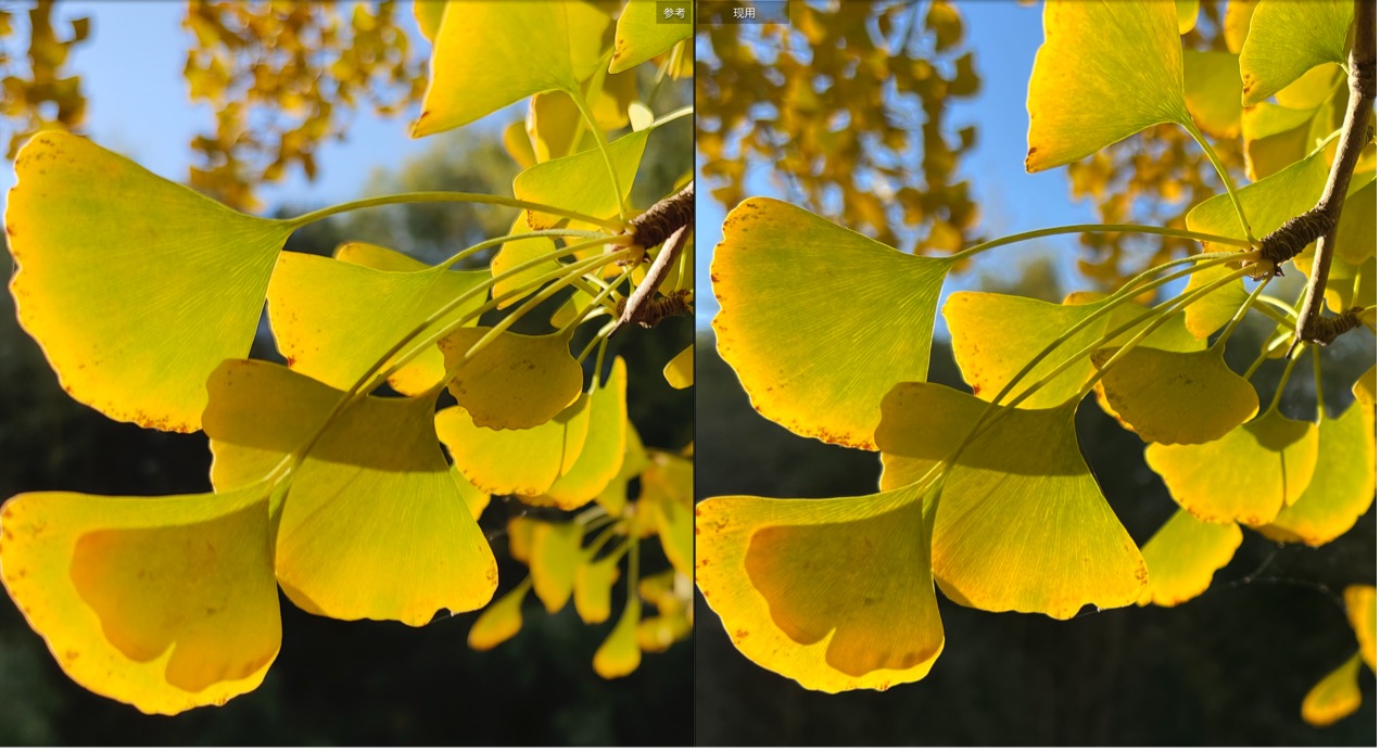 iphone13promax镜头解剖,iphone13pro跟13promax录像对比