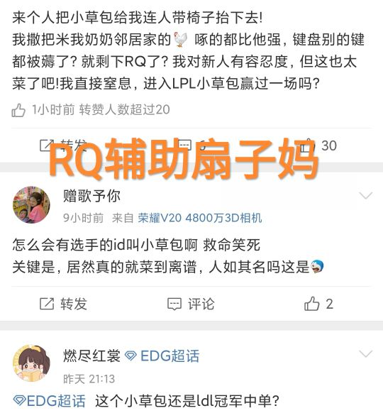 “扇子妈对比图”火了，Rookie三连加速，小草包的RQ有什么伤害