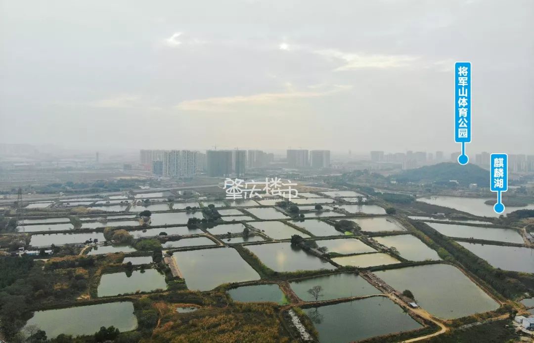 大旺保利梦想城刚需值得入手吗,大旺麒麟湖板块刚需怎么选